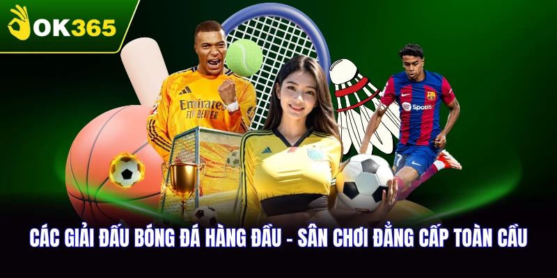 Các Giải Đấu Bóng Đá Hàng Đầu-Sân Chơi Đẳng Cấp Toàn Cầu